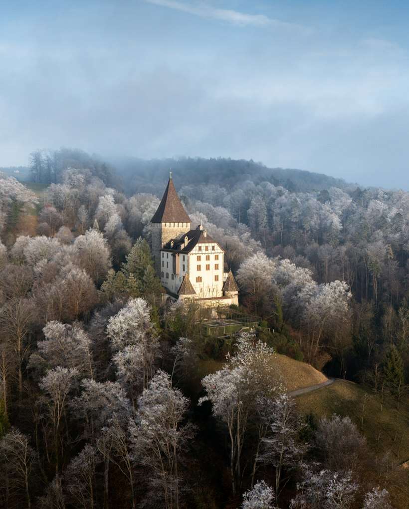 Château isolé au milieu d’arbres givrés